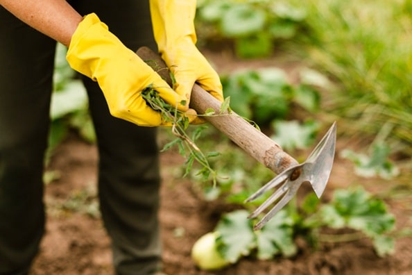 Entretien de jardin à l'année Château Thierry