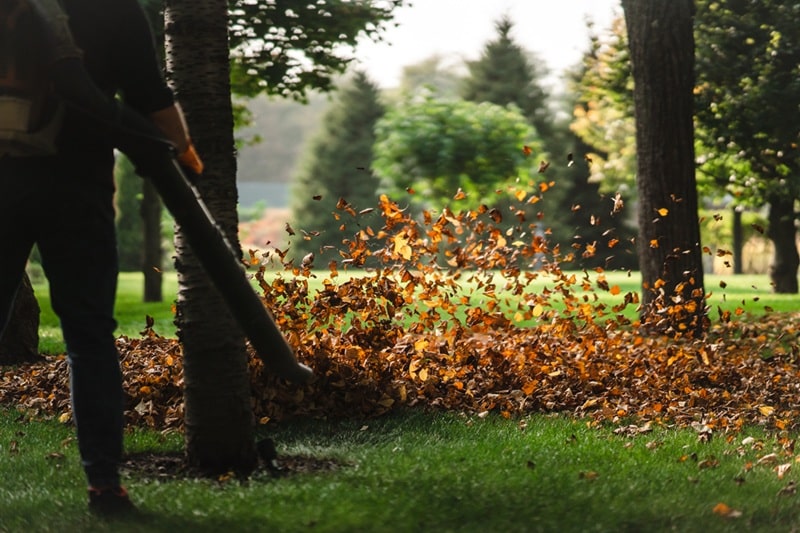 ramassage de feuilles à Château Thierry